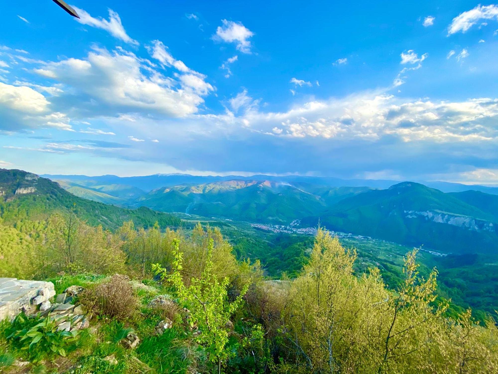Пе́Трови Вили ريباريكا المظهر الخارجي الصورة