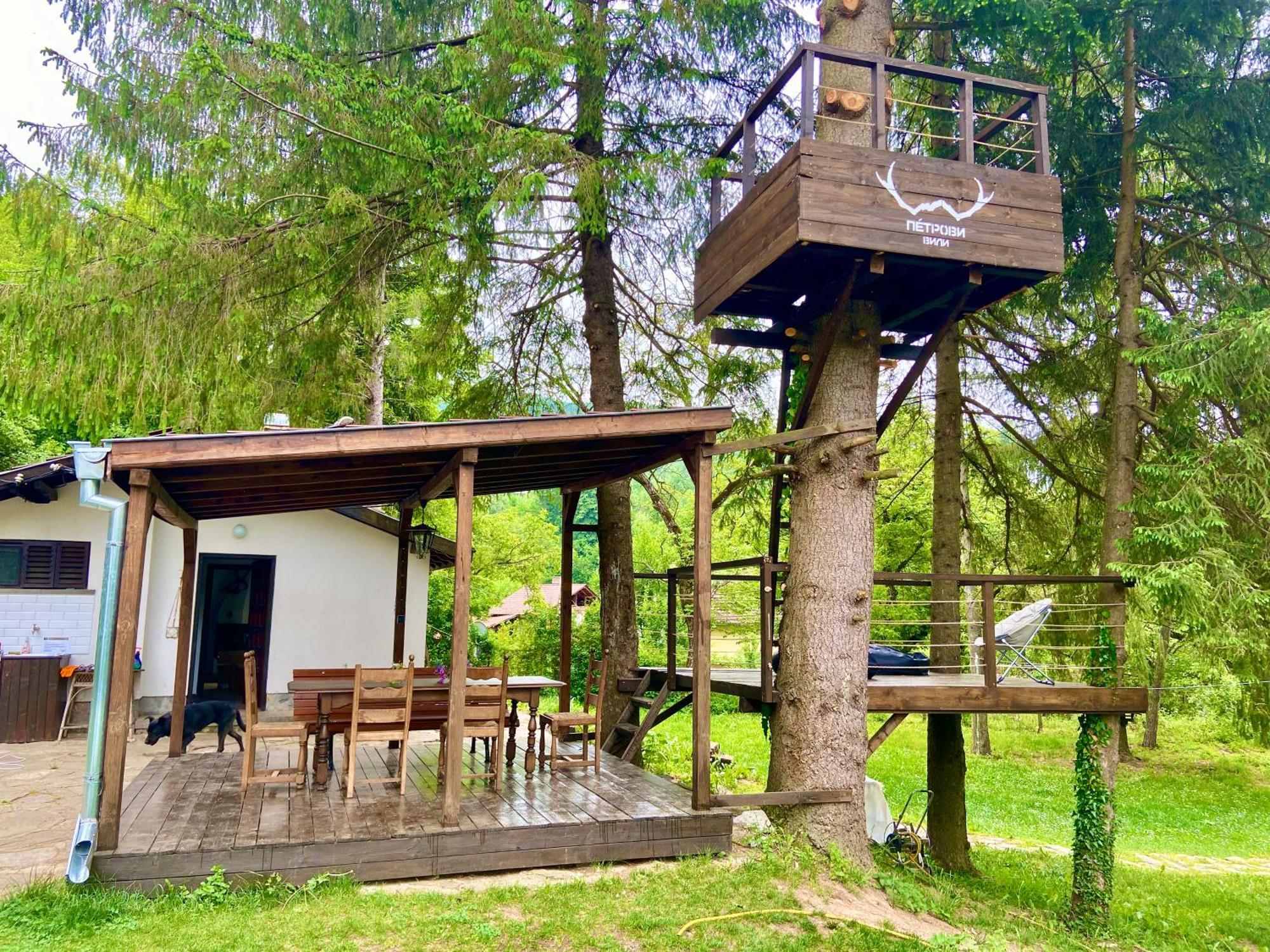 Пе́Трови Вили ريباريكا المظهر الخارجي الصورة